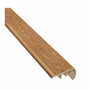 Accessories Stairnose (Liguria Hickory)